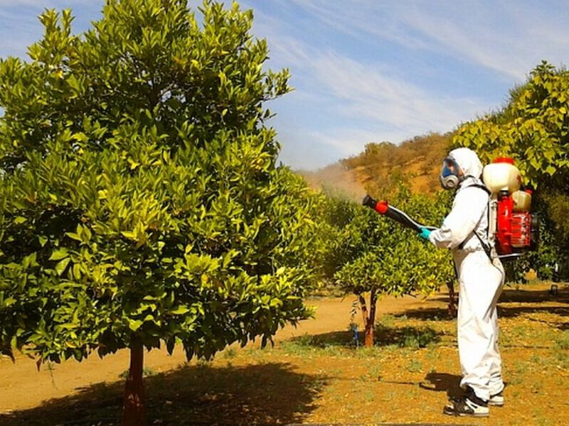 Fumigación Jardines Tuxtla