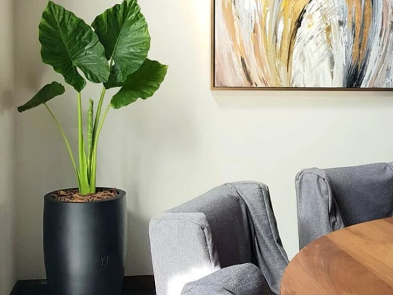 Diseño interiores Guadalajara