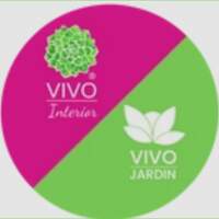 Grupo Vivo
