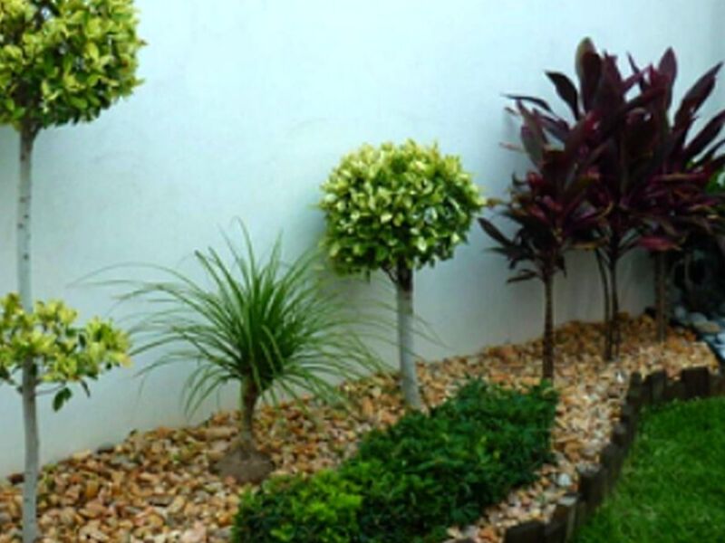 Diseño Jardines Aguascalientes