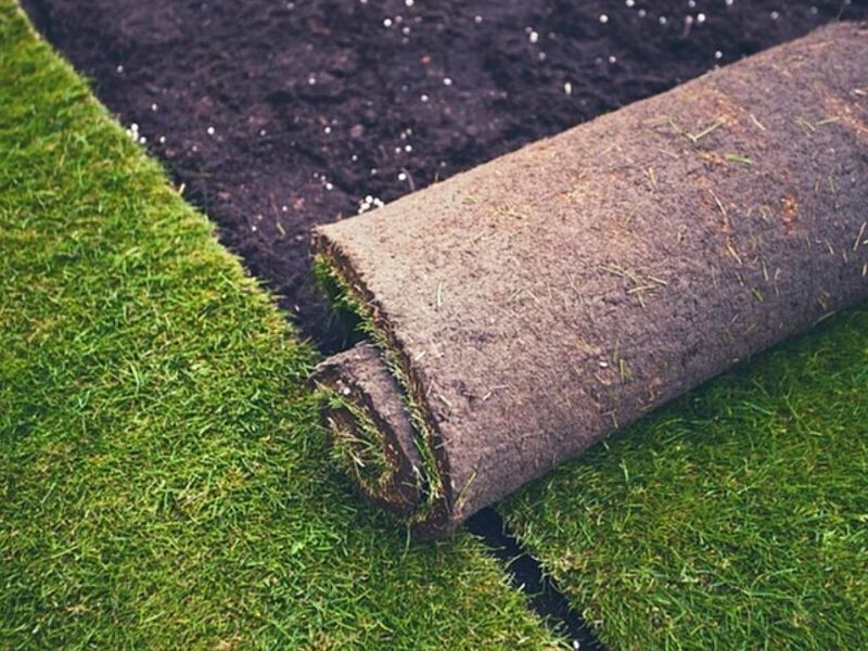 Instalación Pasto Rollo Zapopan