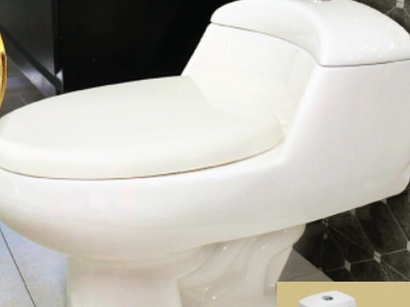 Sanitario México
