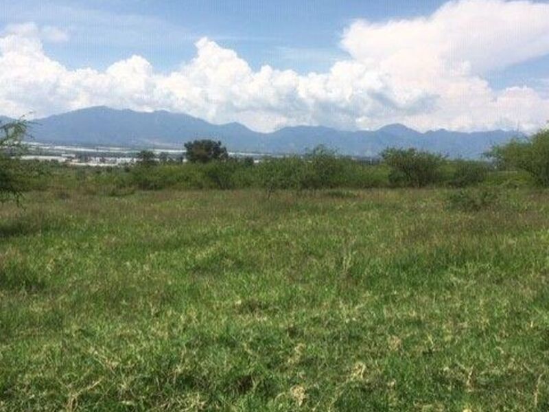 Terreno Venta Ciudad Guzman