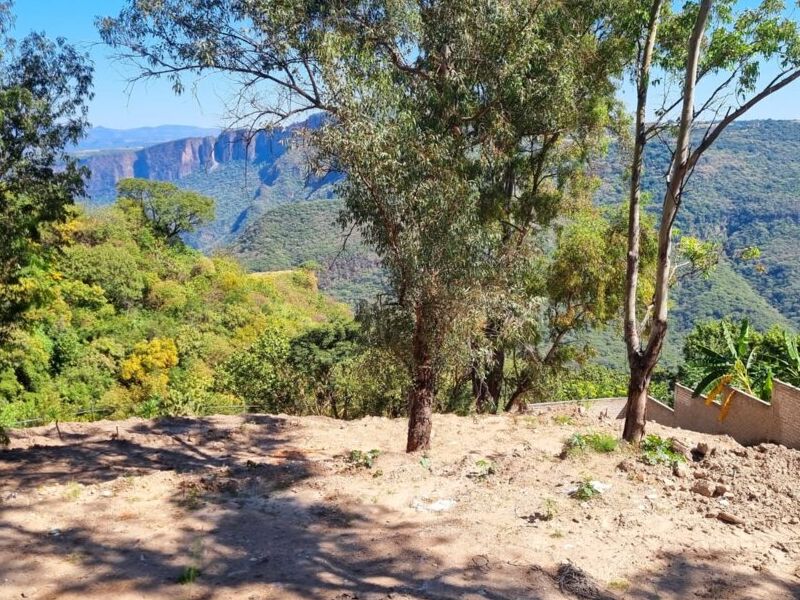 Terreno Venta Calzada