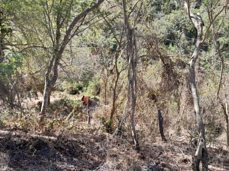 Terreno Venta Sayulita