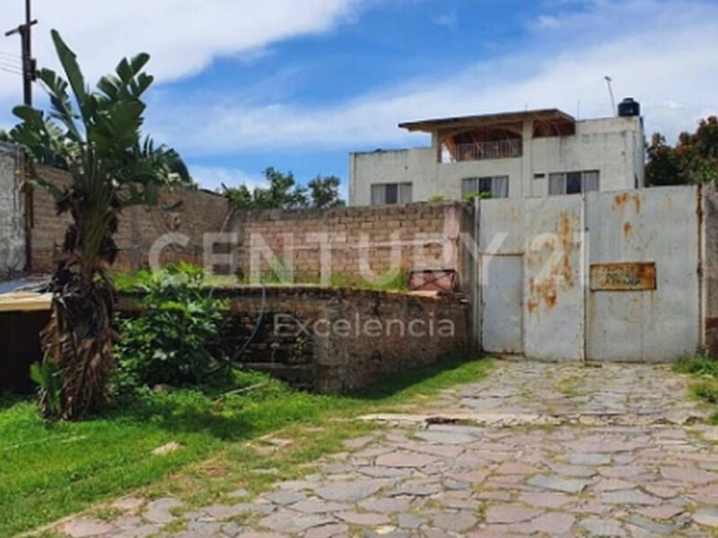 Terreno venta Zalate