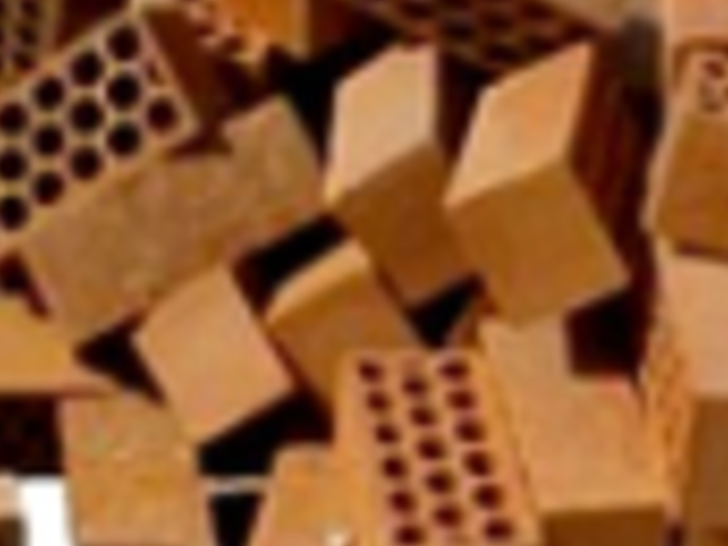 Ladrillos Jalisco 