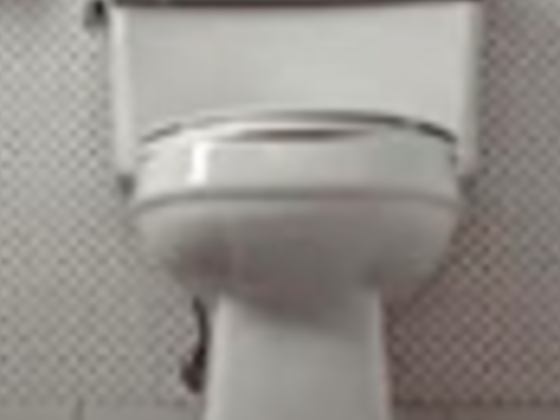Sanitarios Jalisco 