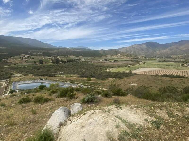 Terreno venta vino Ensenada