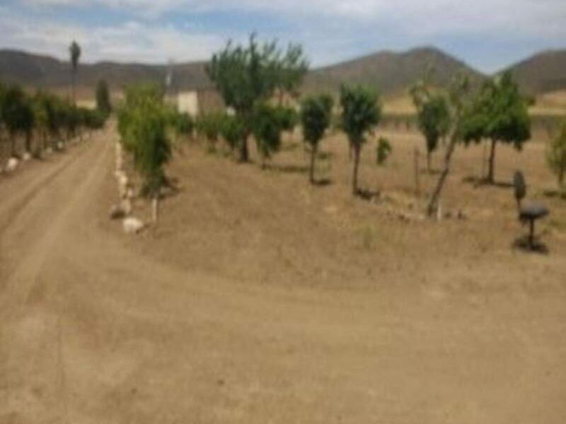 Terreno venta Marcos Irapuato