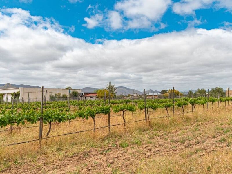 Terreno venta Altos Irapuato