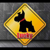 Señalamientos "lucky"