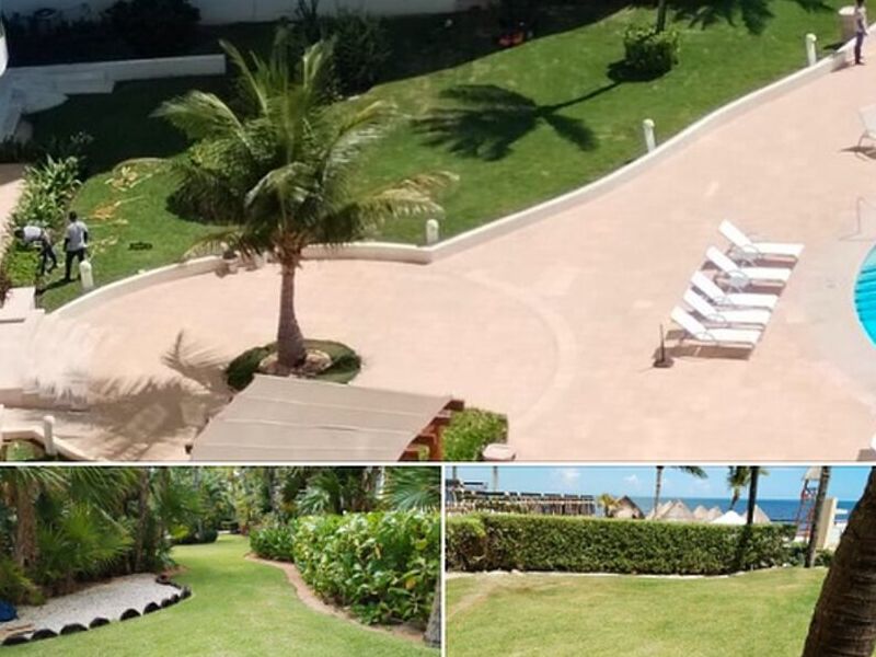 Jardinería
