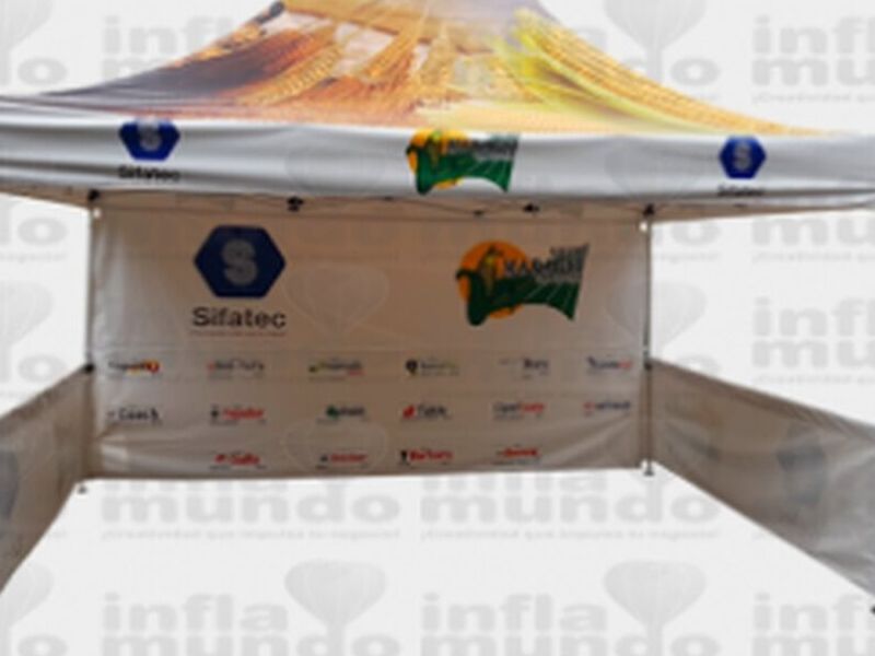 CARPA CON VENTAS A LOS LADOS
