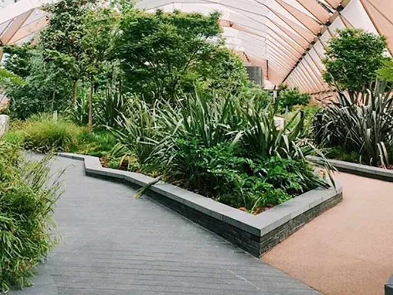 Diseño Jardines Hermosillo