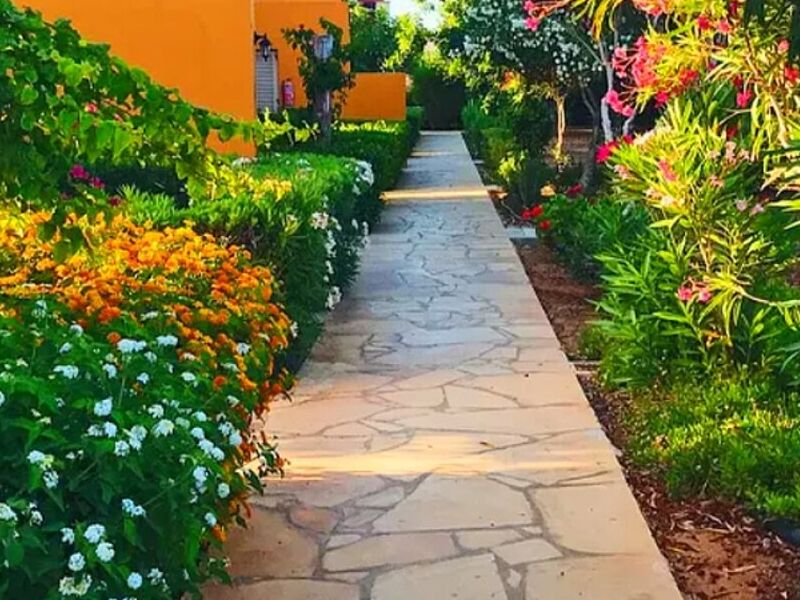 Diseño Jardines Orizaba