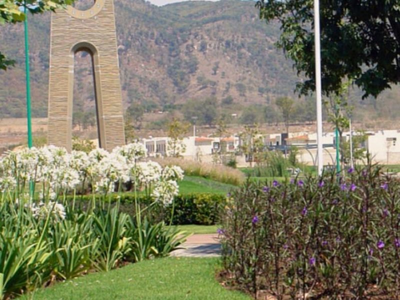 Diseño Jardines Zapopan