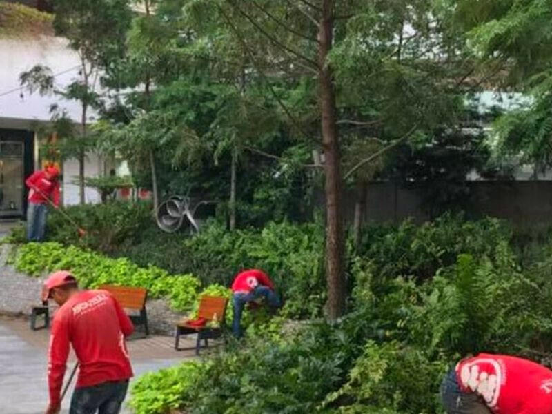 Mantenimiento Áreas Verdes Zapopan