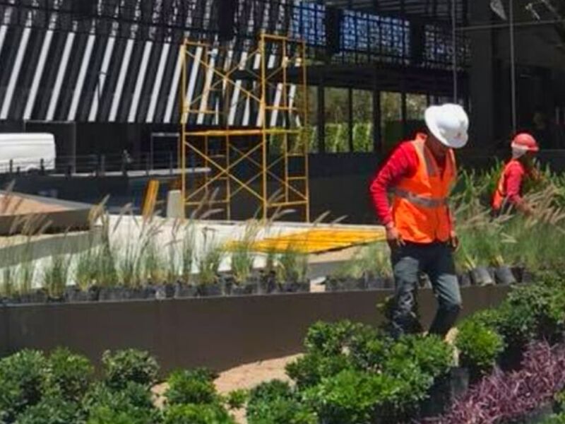 Mantenimiento Áreas Verdes Puebla