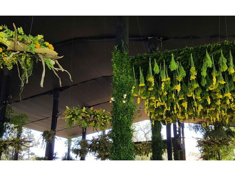 CARPA AGRO