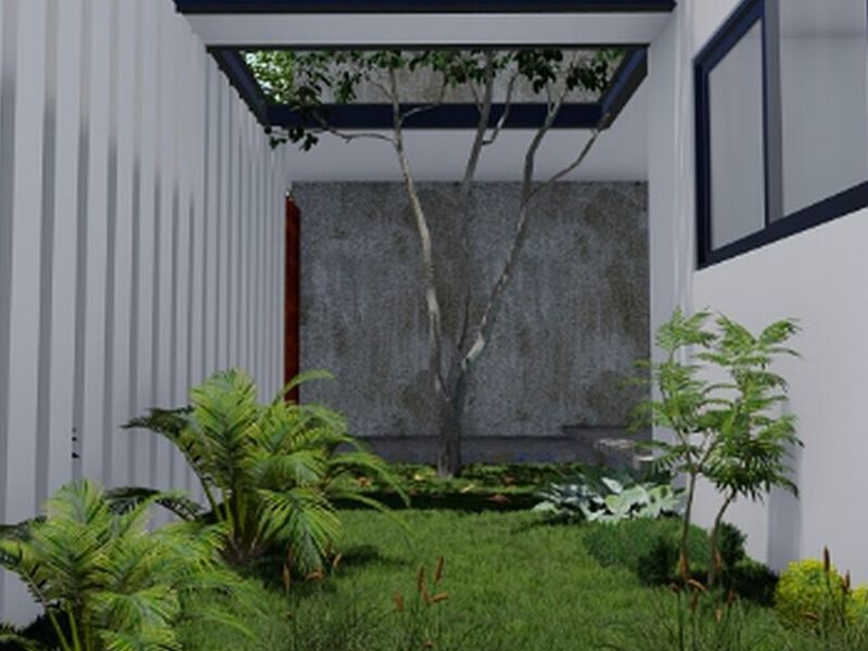 Casa árbol México