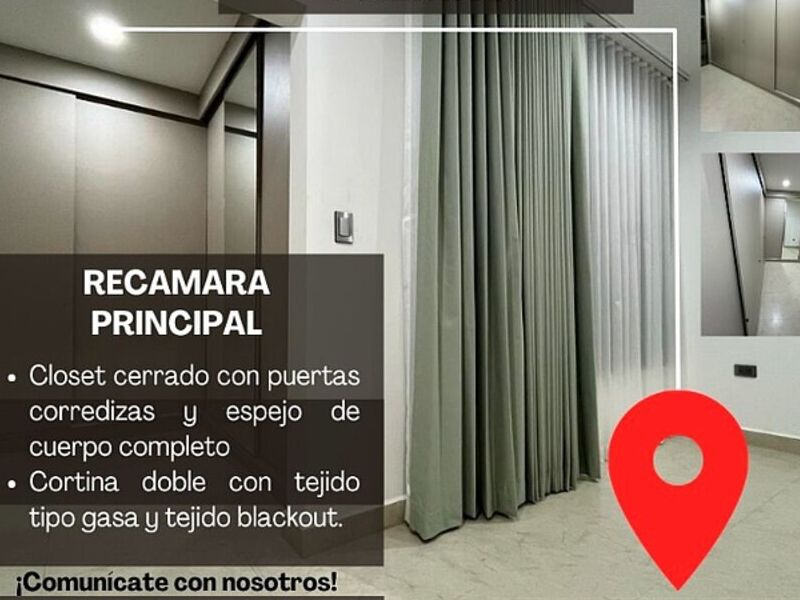 Proyecto Palmas México