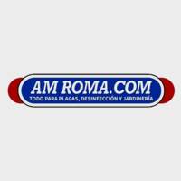 AM ROMA.COM