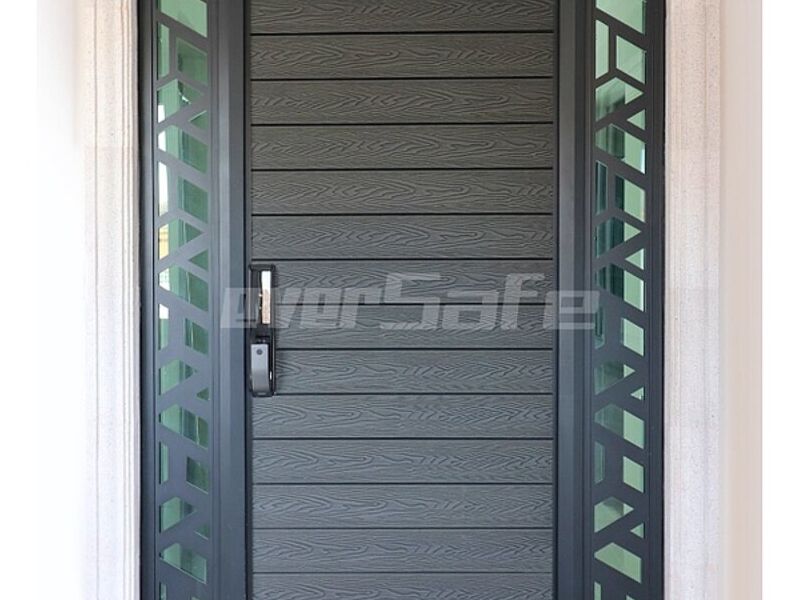 Puerta seguridad México 