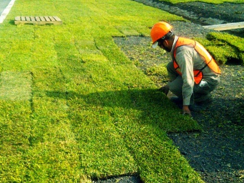 Instalación Pasto Rollo Salamanca