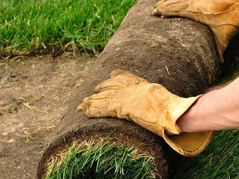 Instalación Pasto Rollo Toluca
