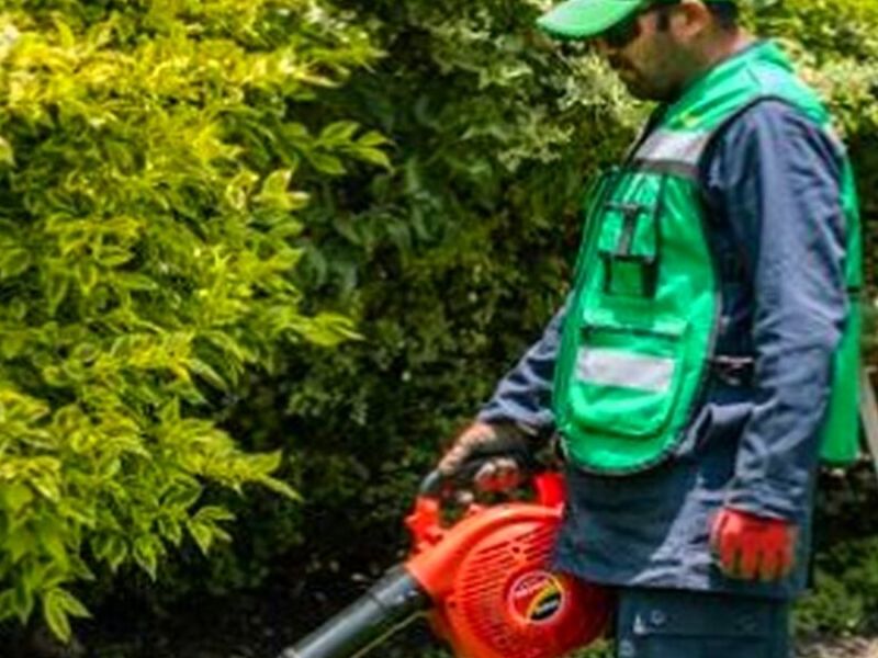 Mantenimiento Áreas Verdes Salamana