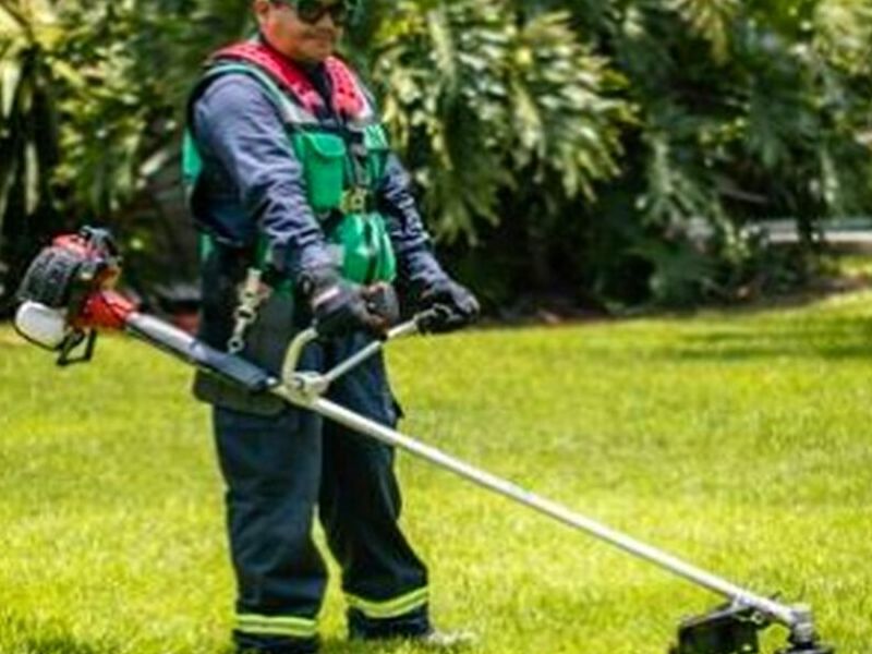 Mantenimiento Áreas Verdes Zapopan