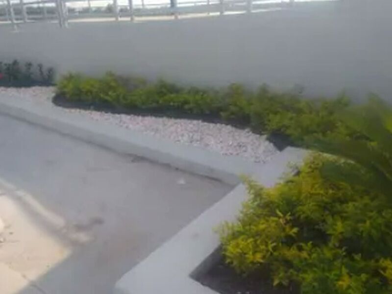 Diseño Jardines Tampico