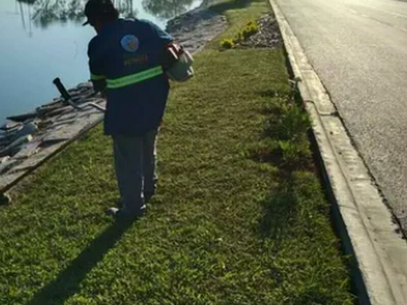 Mantenimiento Áreas Verdes Tampico