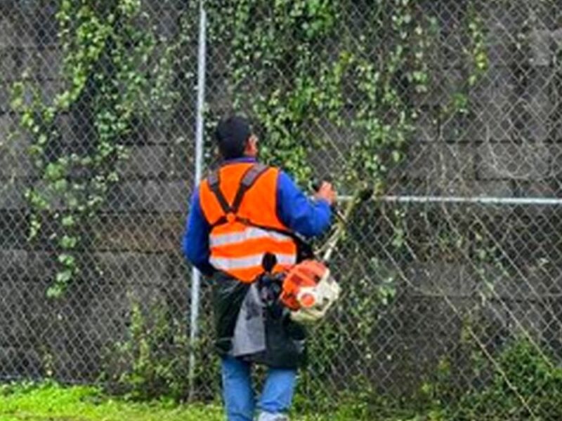 Mantenimiento Áreas Verdes Querétaro