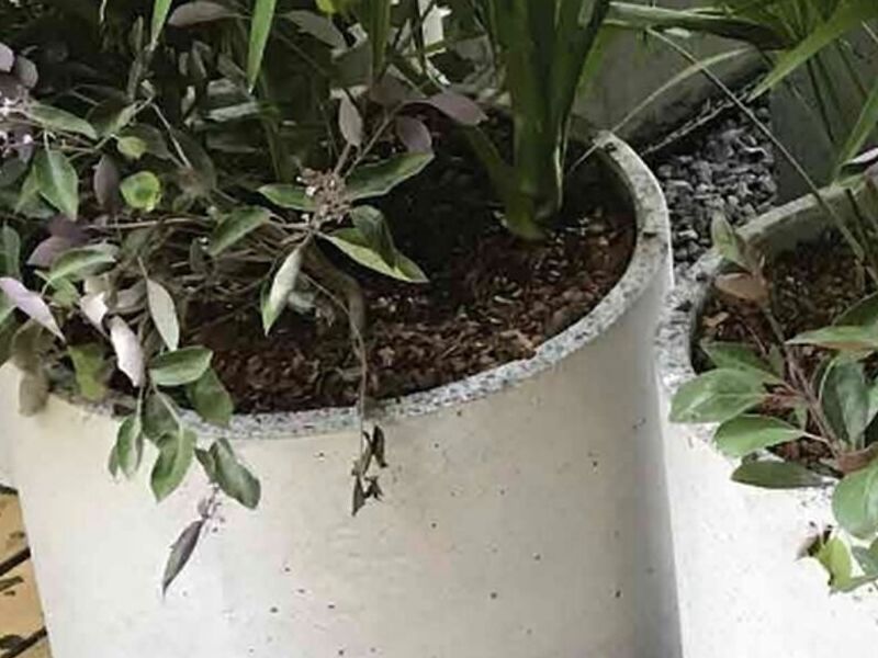 Maceta Concreto México D.F