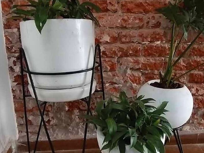 Maceta Fibra Vidrio Hermosillo
