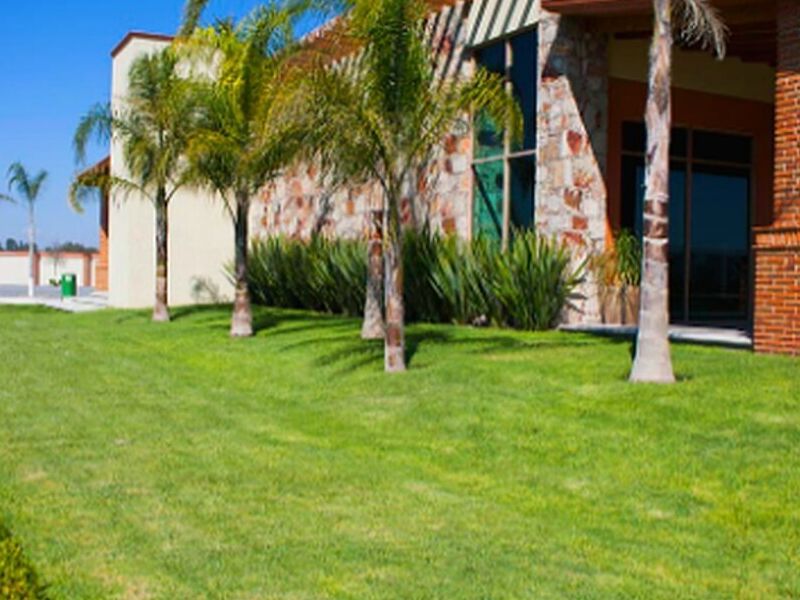 Diseño Jardines Mérida