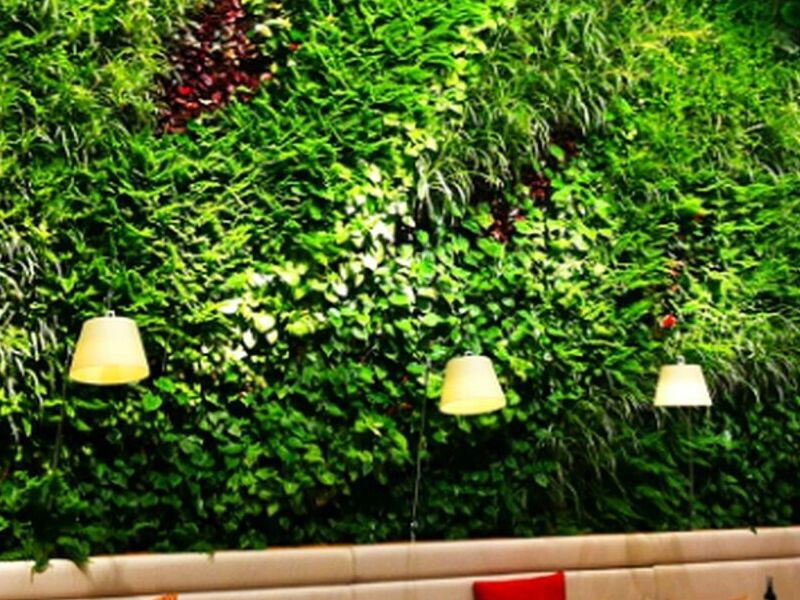 Jardines Verticales Naucalpan