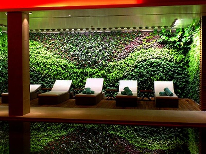 Jardines Verticales Toluca