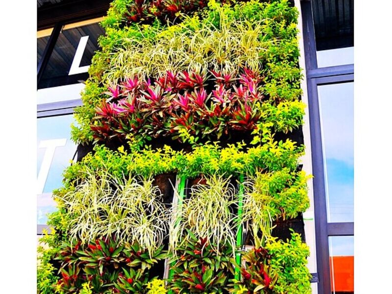 Jardines Verticales Culiacán 