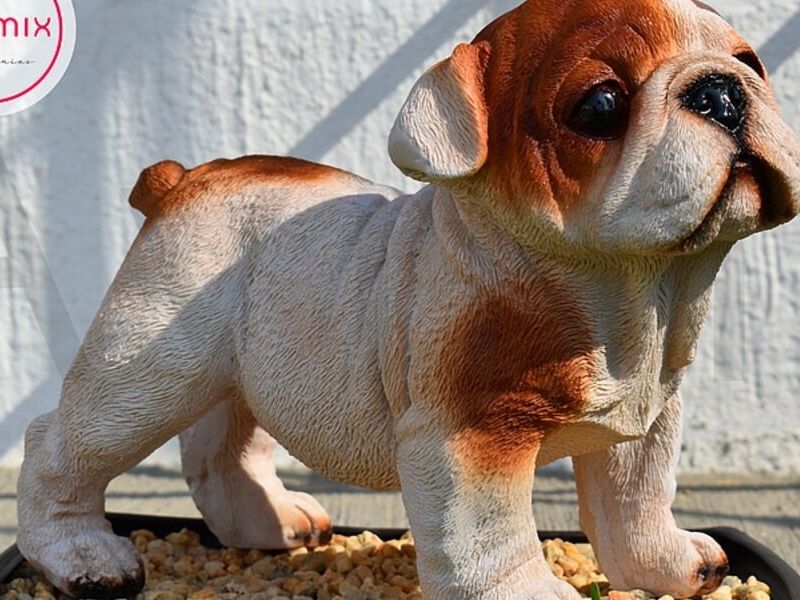 Figura Bulldog MX