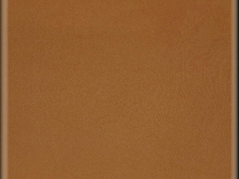 Textil Mostaza Moroleón 