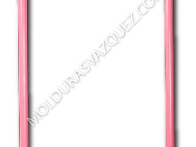 Cuadro Rosa México
