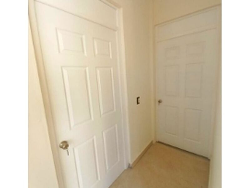 Puerta paso blanco madera 
