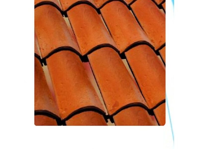 Teja Barro México