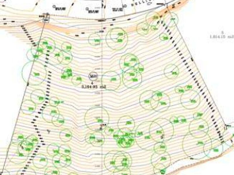 Terreno Nuevo León México