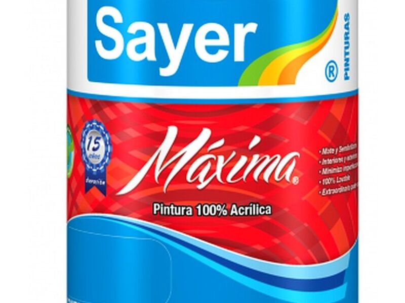 Pintura Acrílica Máxima López Mateos