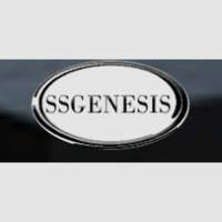 Sistemas de Seguridad Genesis