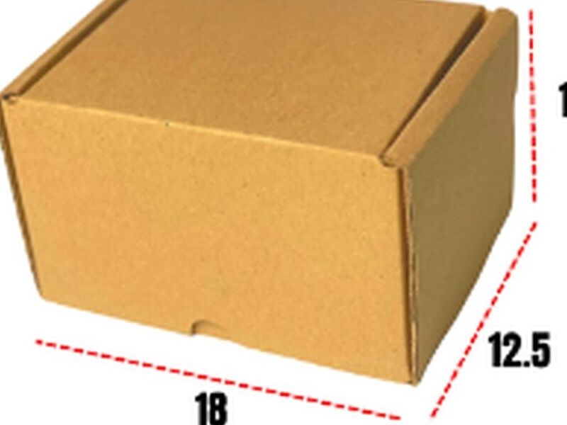 CAJA AA PANDA Monterrey